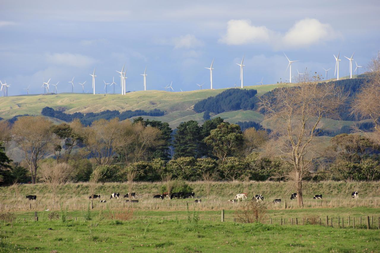 Refreshstay Palmerston North Eksteriør bilde